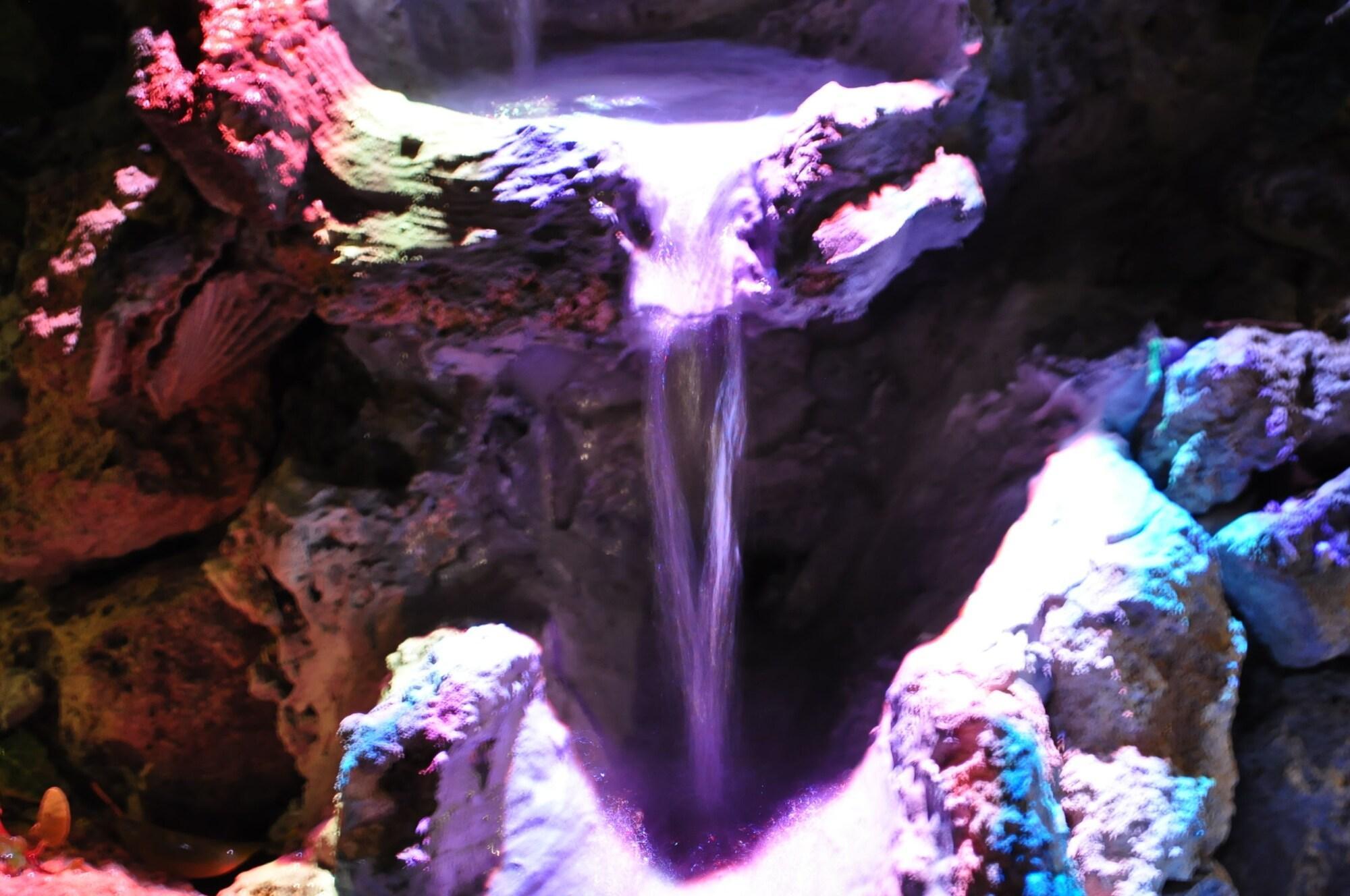 Instalaciones Recreativas 7 Contrade