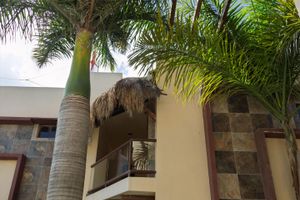 Alojamiento - Jardin del Mar by ÓOL Hotels