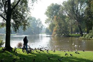 Alojamiento - Parkzijde Bed & Breakfast