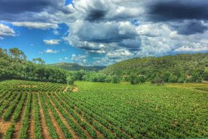 Alojamiento - Le Domaine Saint Martin