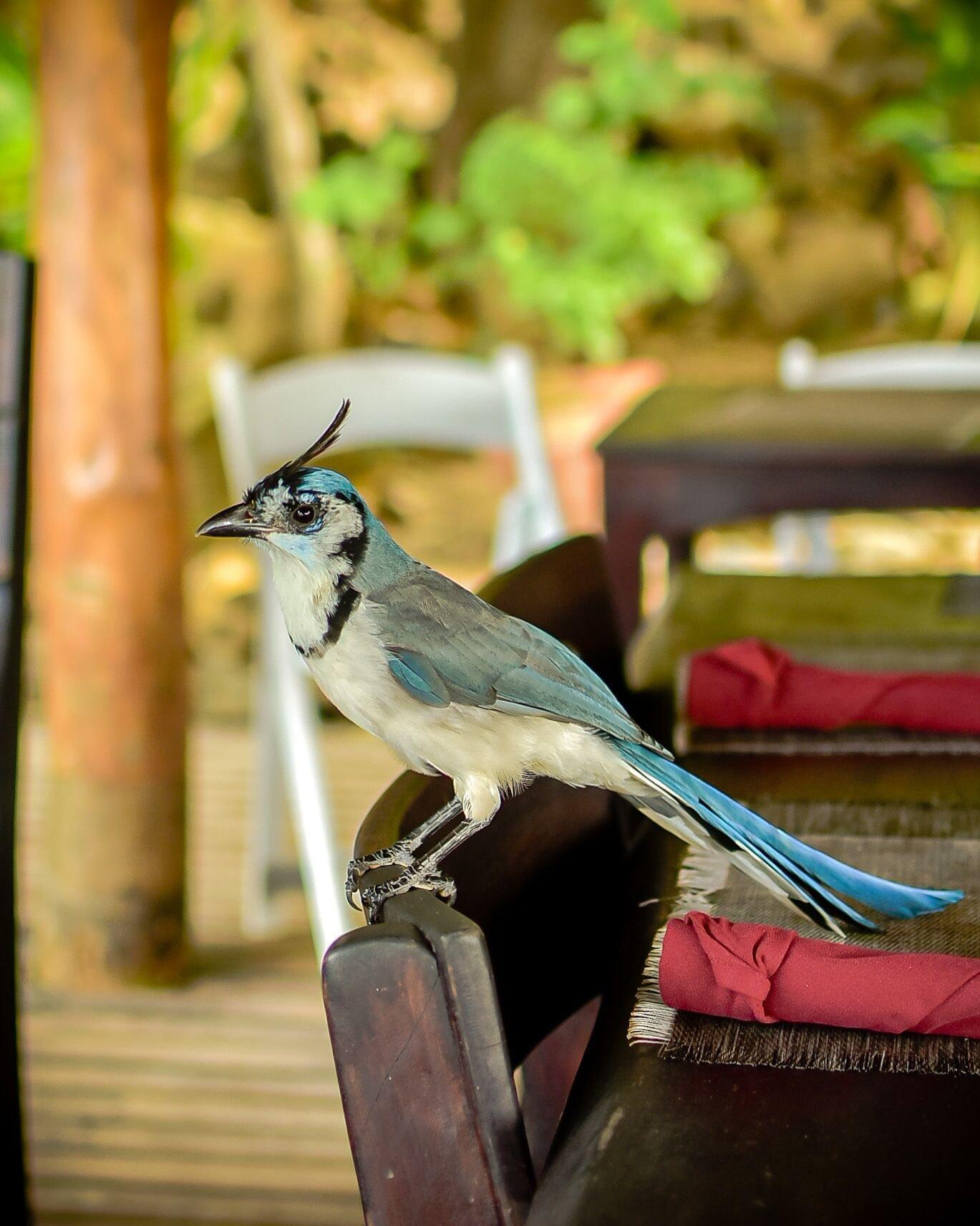 Vista Exterior Aqua Oceanfront Hotel Resort