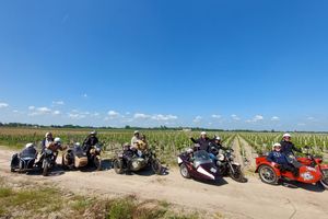 Actividad - Degustación de vino en Chateau elegido y picnic
