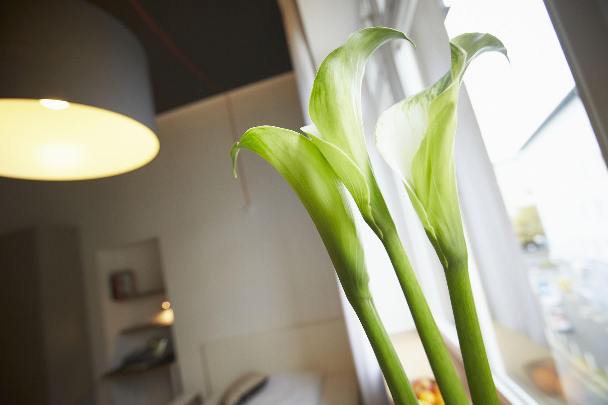 Habitación Aparthotel TU-TU