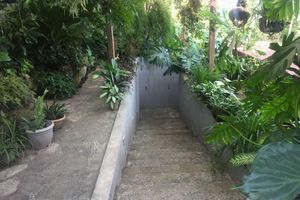 Alojamiento - Hotel Hacienda San Miguel Bed&Breakfast