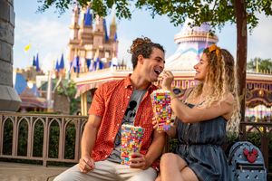Pacote sugerido - Para toda a família no (Walt Disney World Resort)