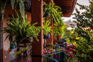 Alojamiento - Naif Boutique Hotel