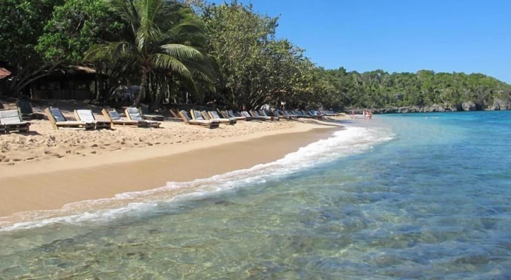 Playa Tropical Luxury Dreams