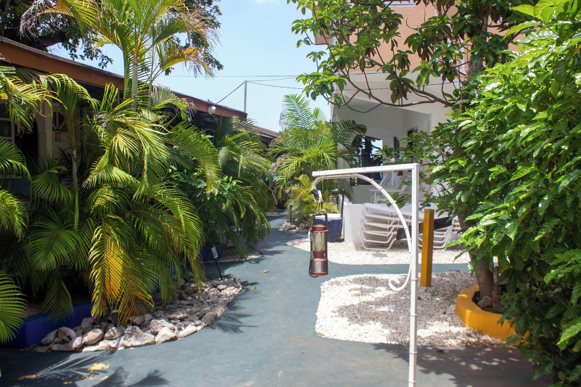 Comodidades del Alojamiento moms place negril