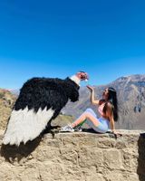 Actividad - Descubrimiento del Cañón del Colca - Viaje de 2 días