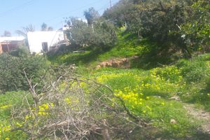 Alojamiento - Cortijo La Fuensanta