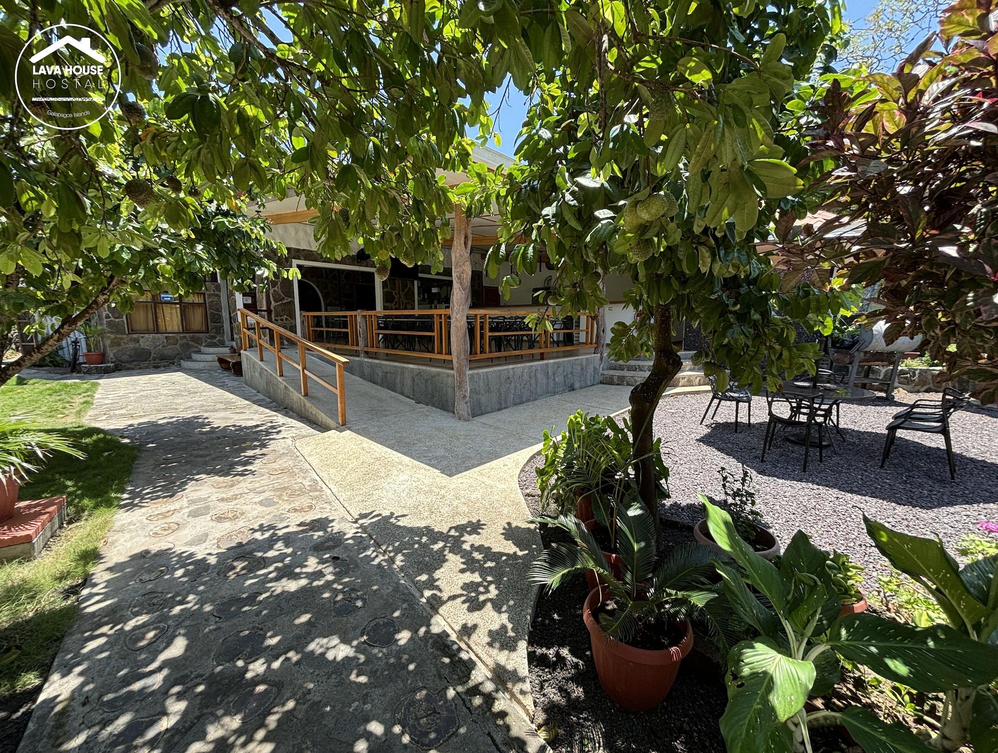 Varios Lava House Hostal