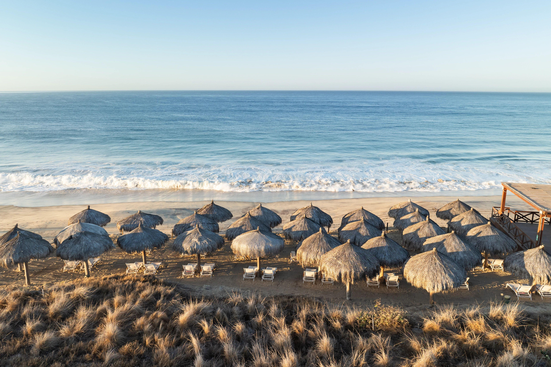 Playa Secrets Puerto Los Cabos Golf & Spa Resort