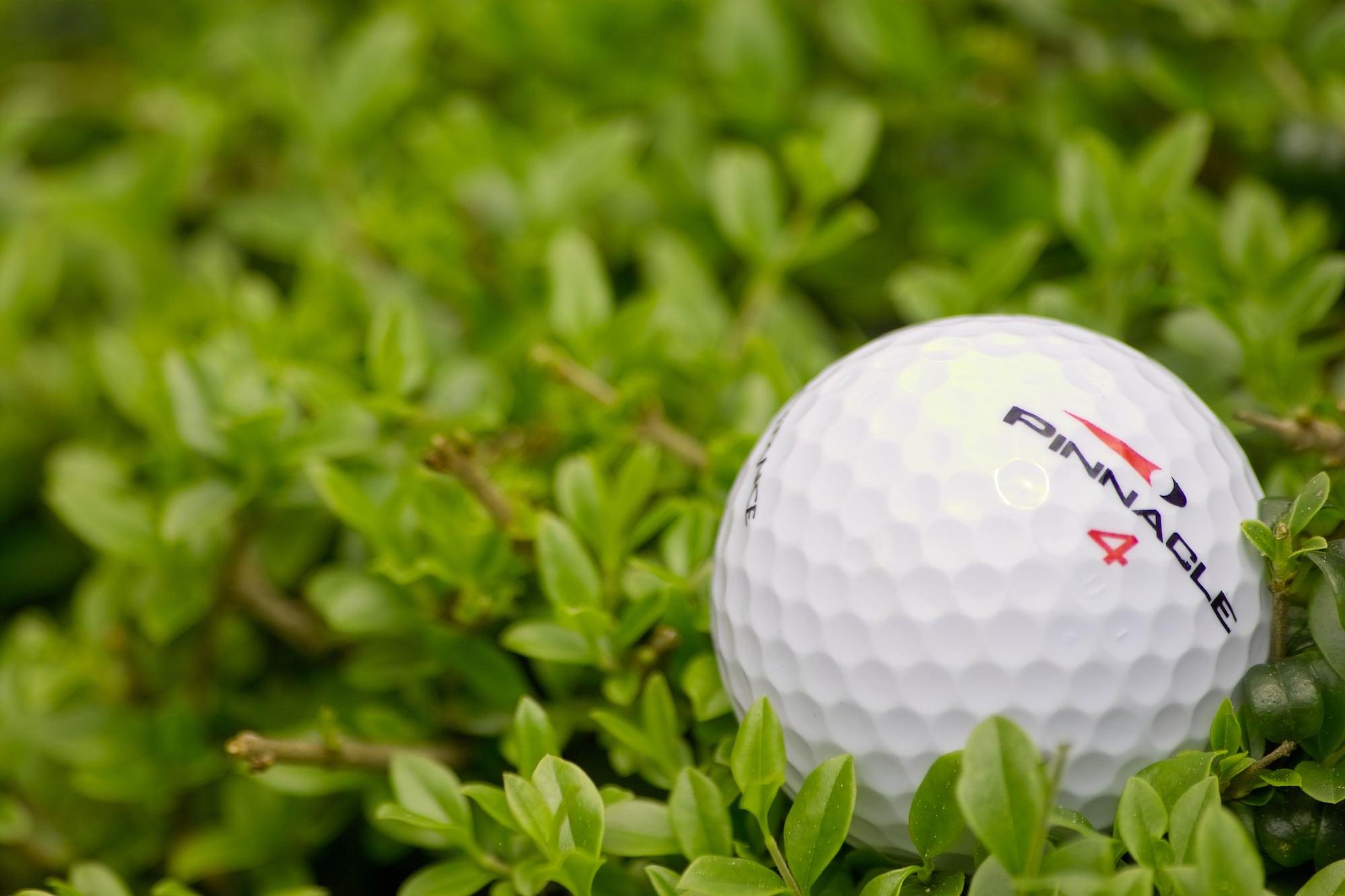 Campo de Golf Hotel Approdo