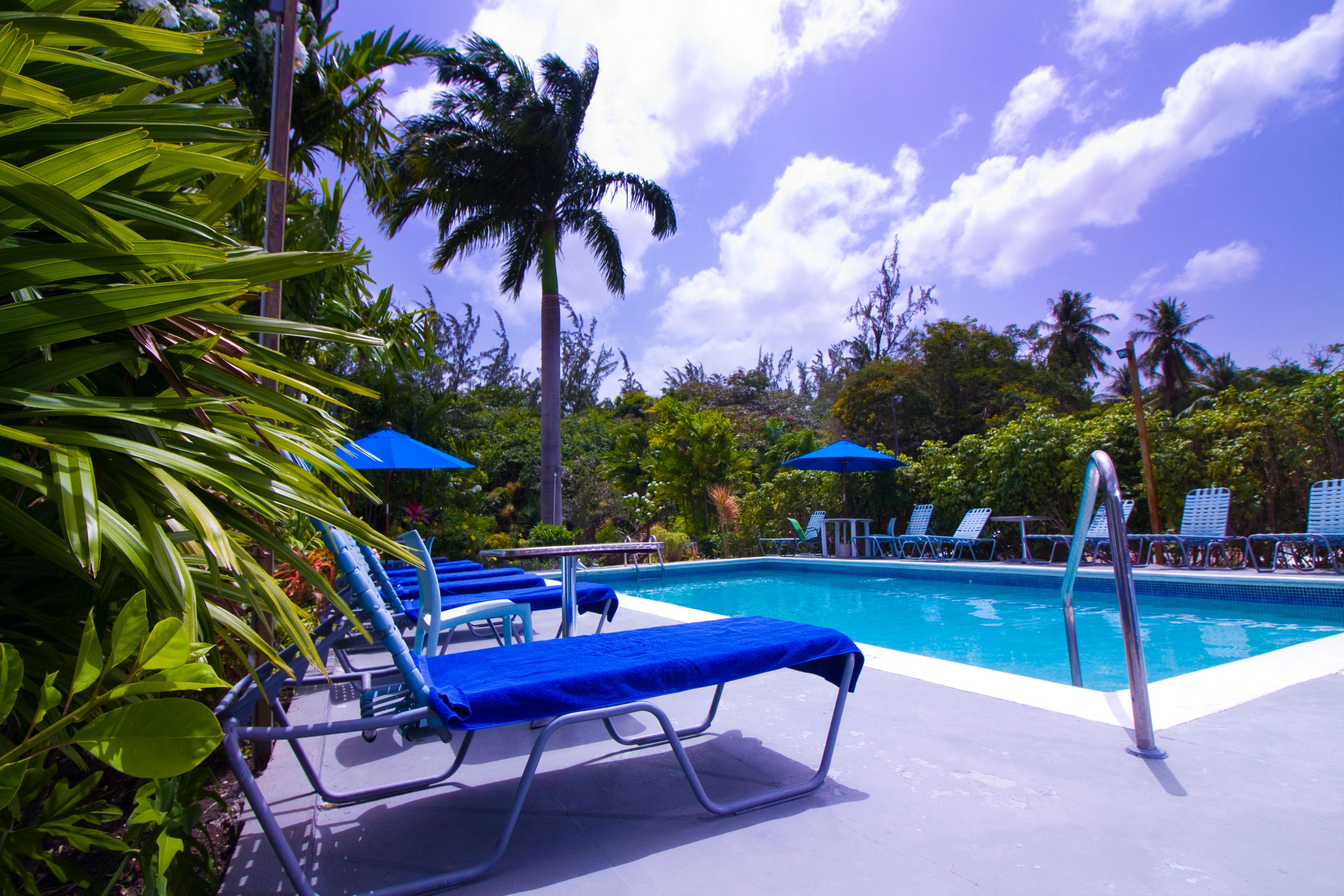 Vista Piscina Palm Garden Hotel