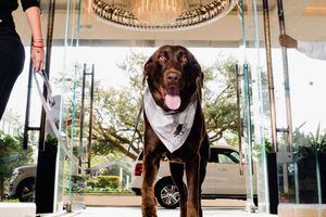 Hospedagens - The Post Oak Hotel at Uptown Houston