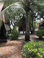 Alojamiento - Pension Motu Aito Paradise