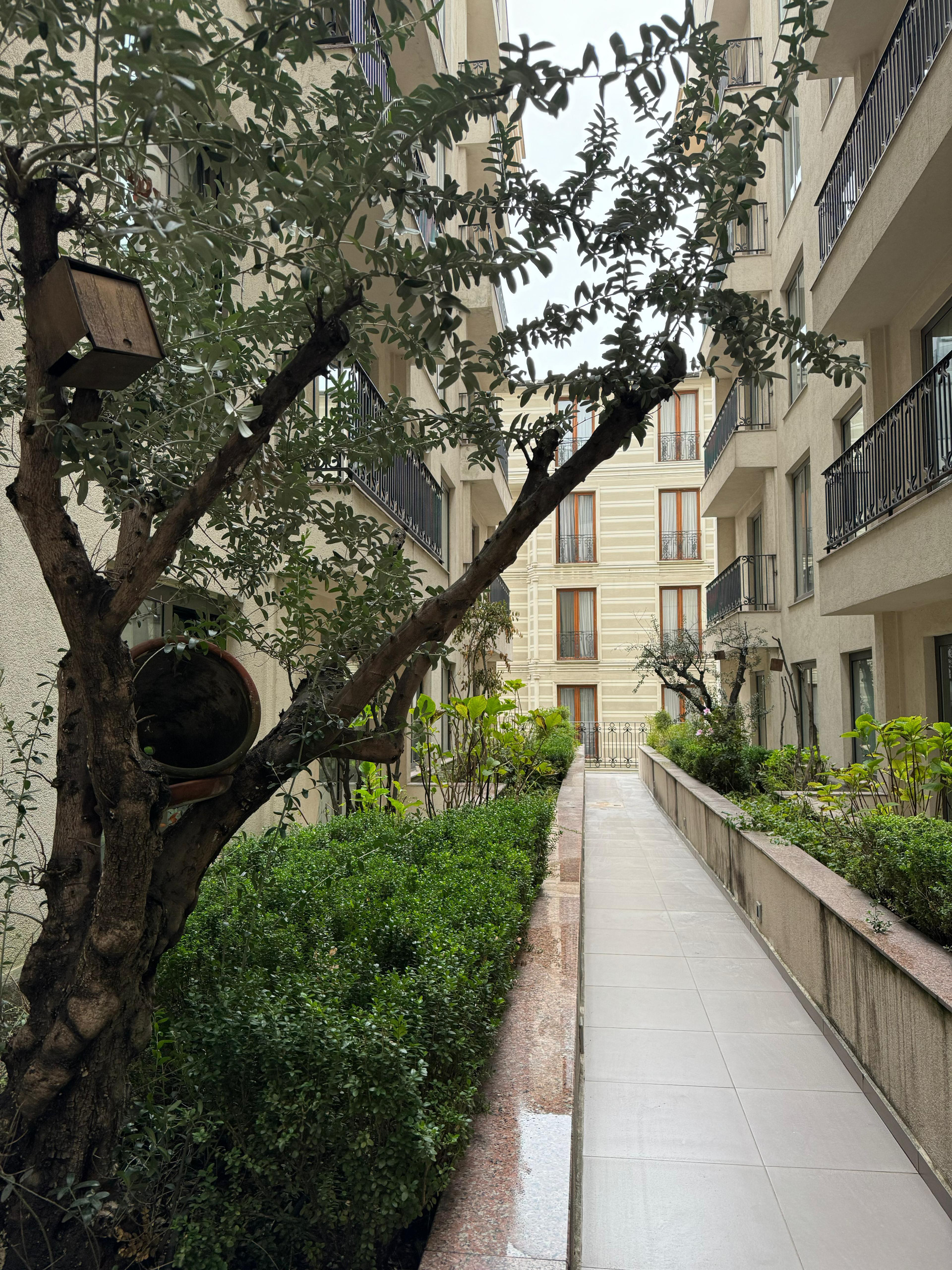 Vista Exterior Grand Aras Hotel & Suites