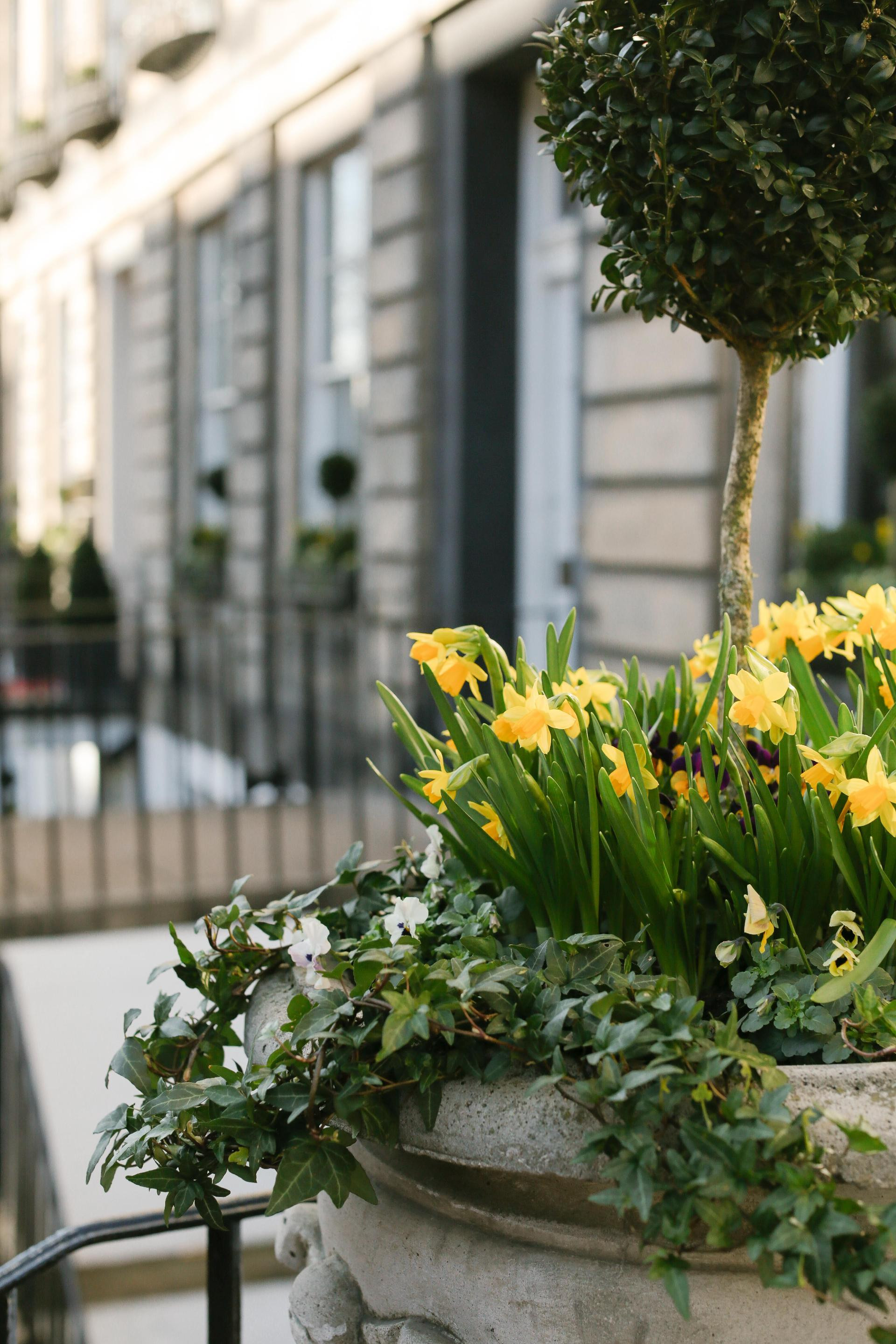 Vista Exterior Nira Caledonia