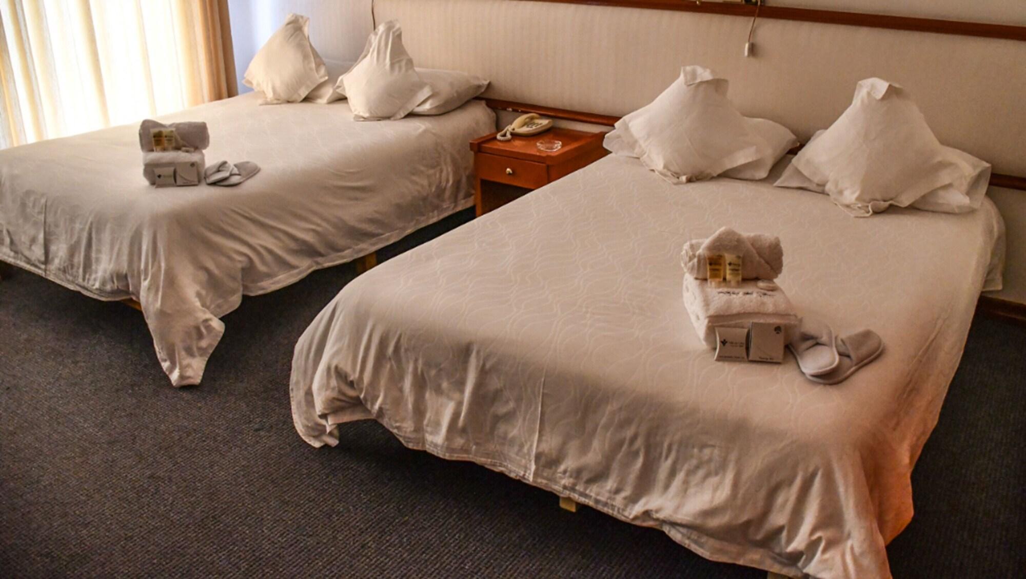 Habitación Hotel Viña del Sur