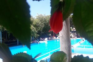 Alojamiento - El Molino - Complejo Turístico