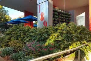 Alojamiento - Laguna Apartments