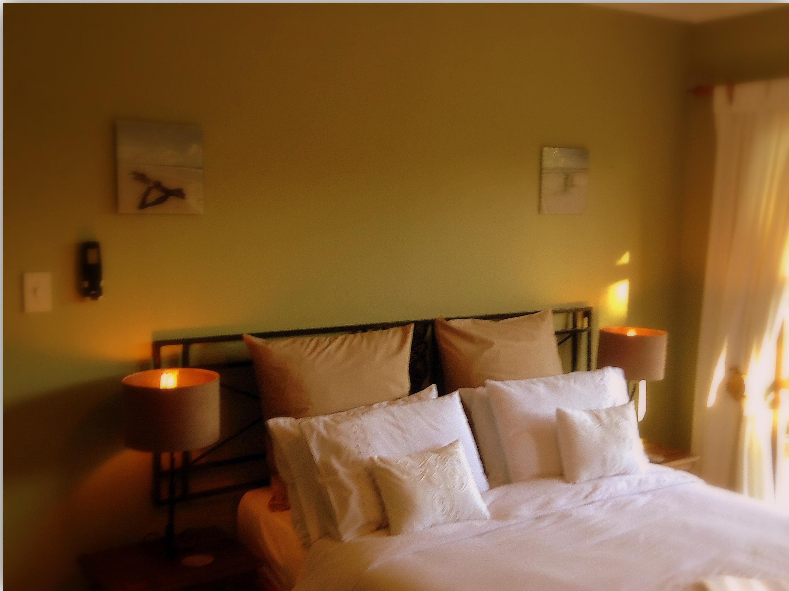 Vista Exterior De Wingerd Wijnland Lodge