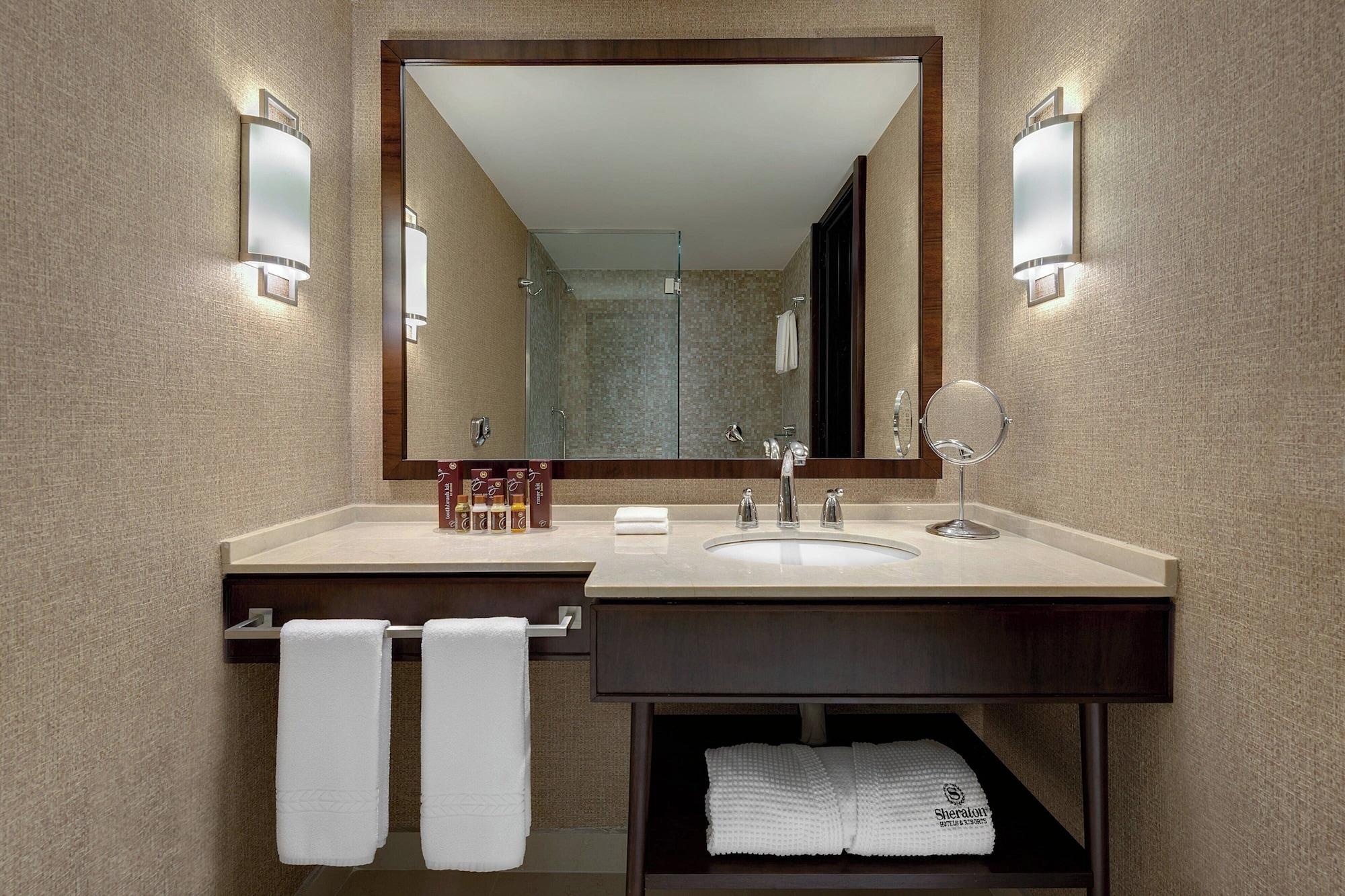 Sheraton Grand Rio Hotel & Resort - foto 63