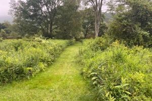 Alquiler Vacacional - Handcrafted Riverfront Cabin on 10 acres