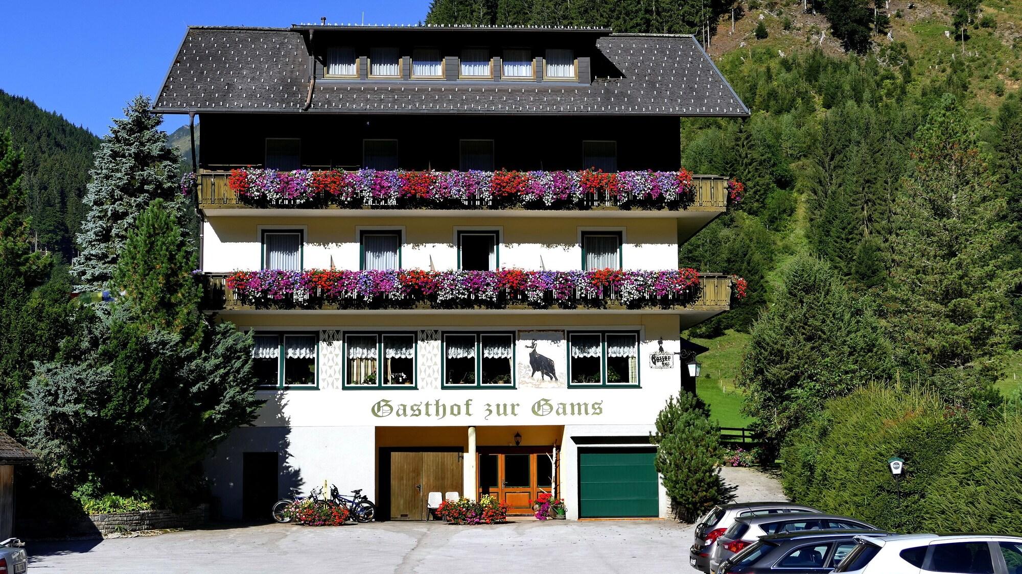 Vista Exterior Gasthof Pension Appartements Zur Gams