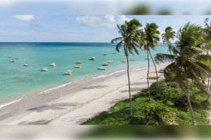 Actividad - San Miguel de los Milagros: Cultura, Paz y Belleza en Cada Rincón