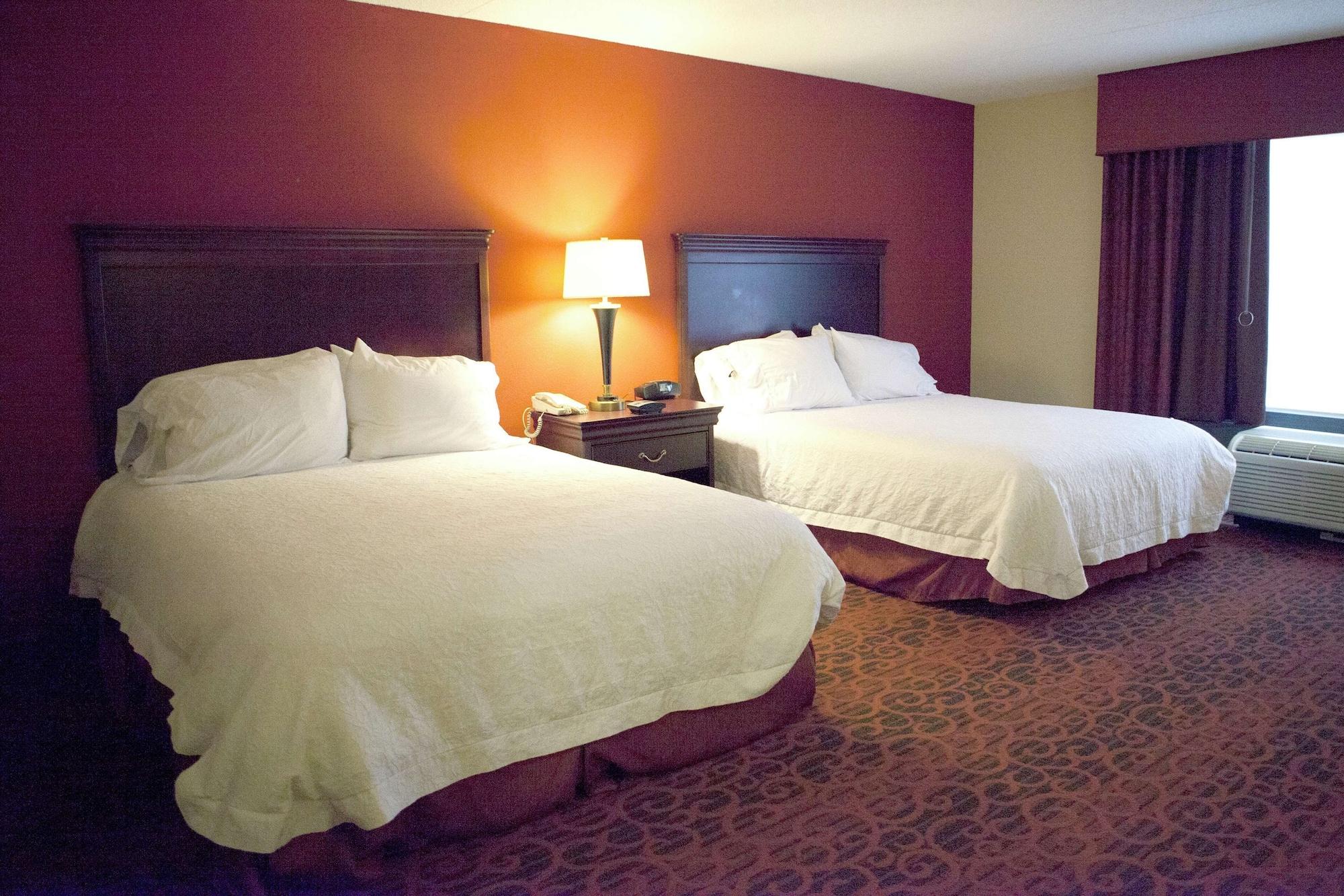 Habitación Hampton Inn Rochester Webster