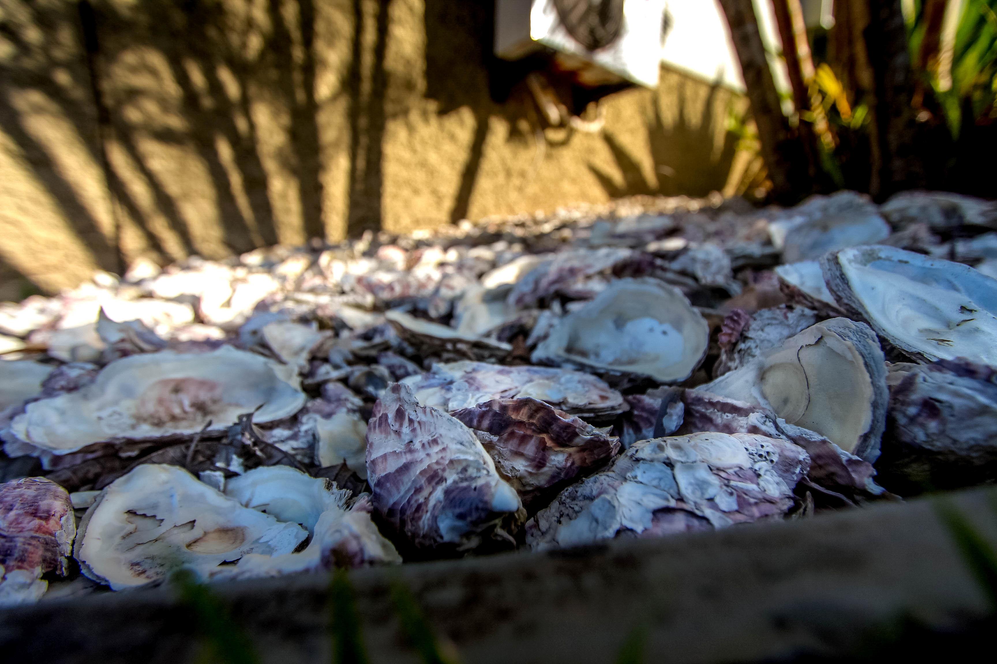 Comodidades del Alojamiento Pousada Porto do Arvoredo