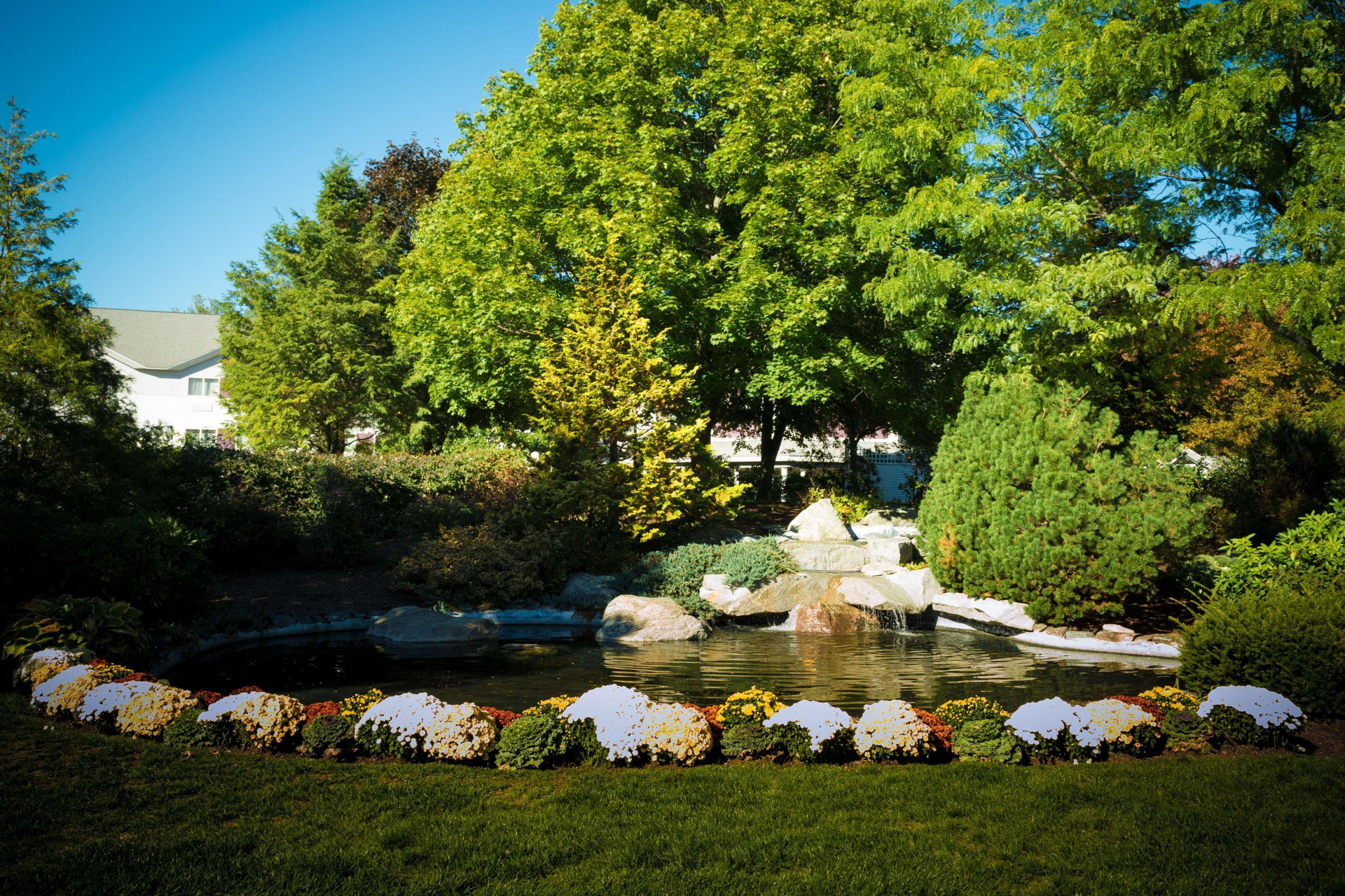 Varios Best Western Plus Executive Court Inn & Conference Center