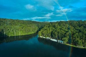 Alojamiento - RAC Karri Valley Resort