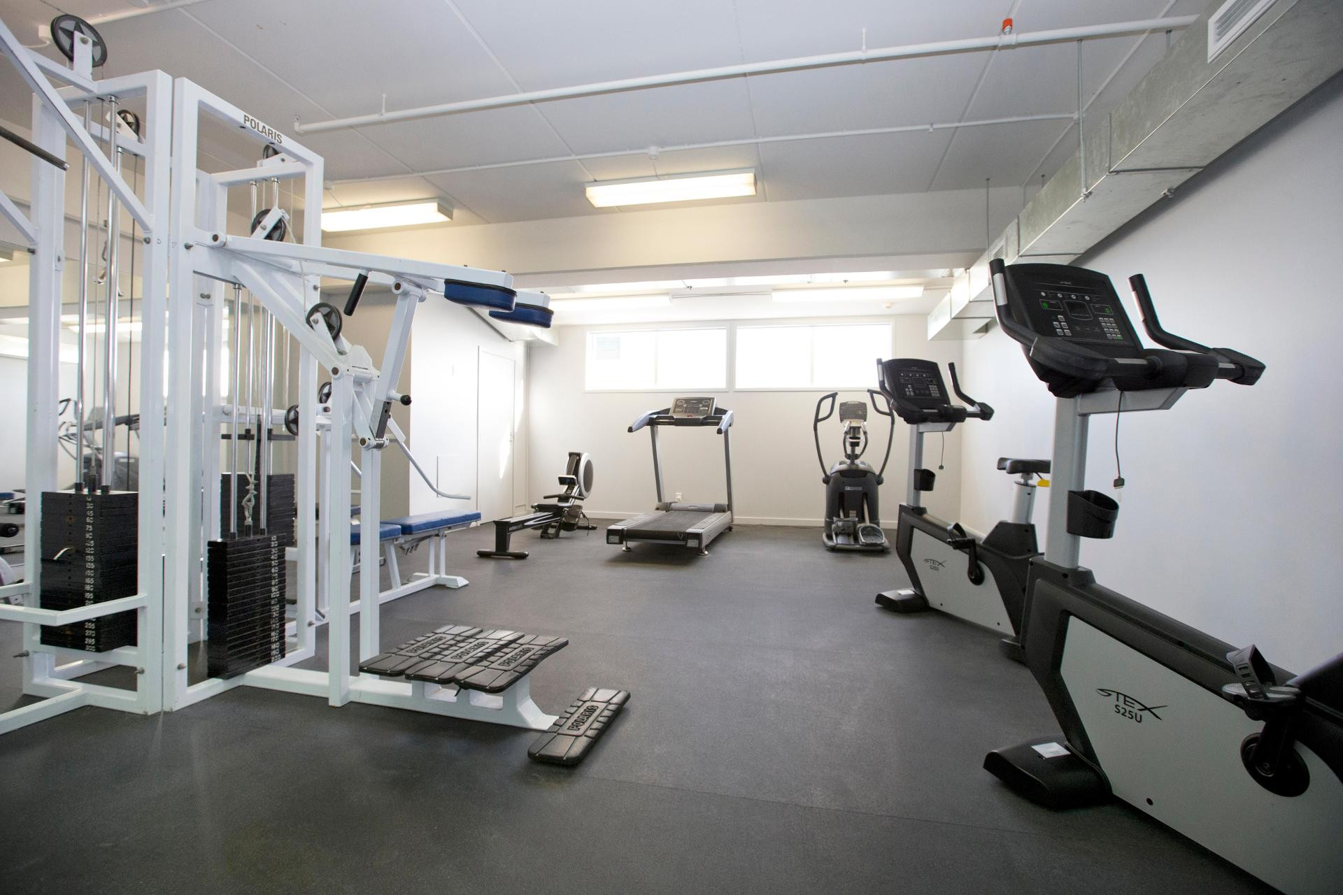Instalaciones Recreativas Copthorne Hotel Palmerston North