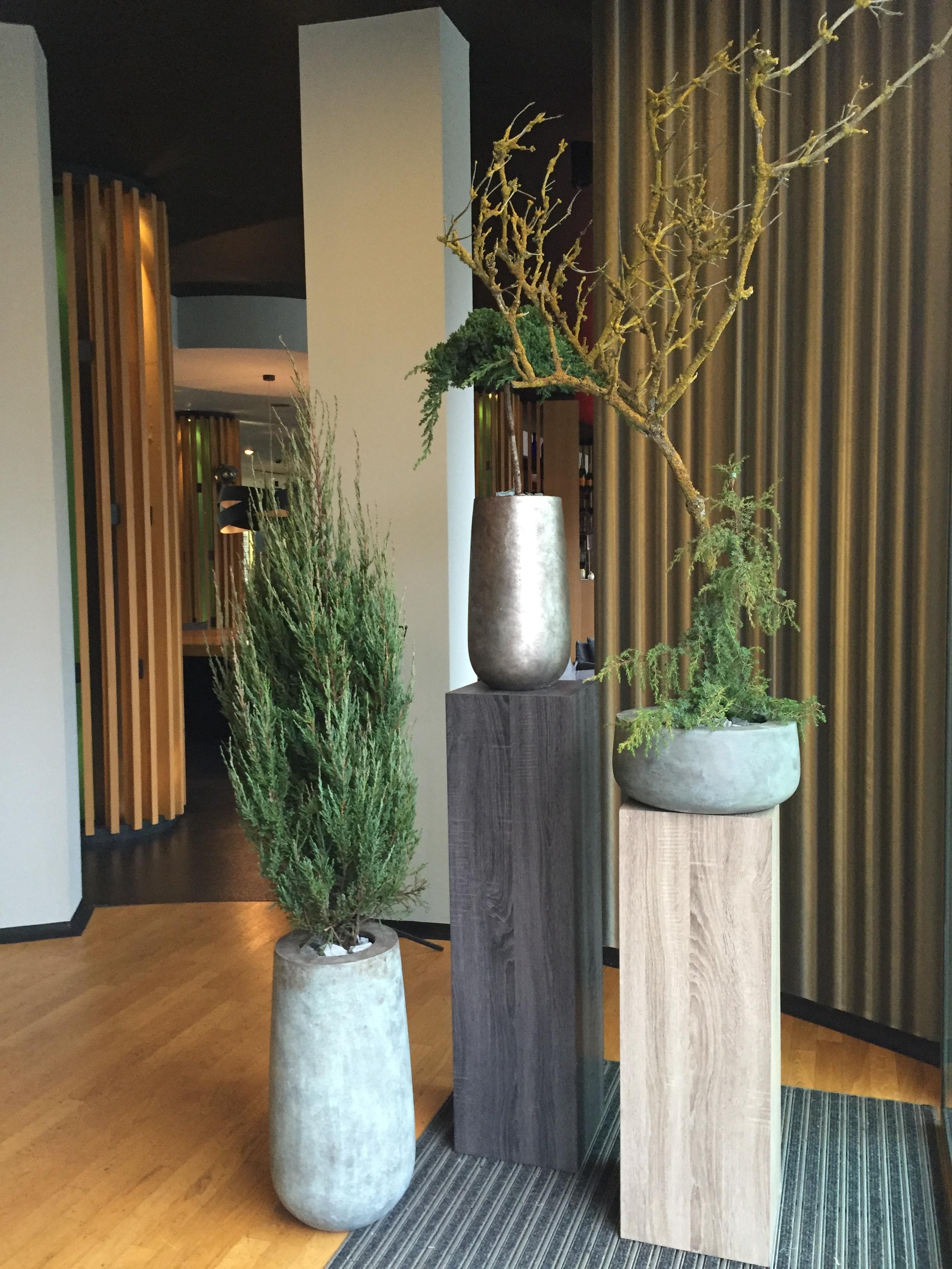 Restaurant Axel Hotel Berlin - Adults Only