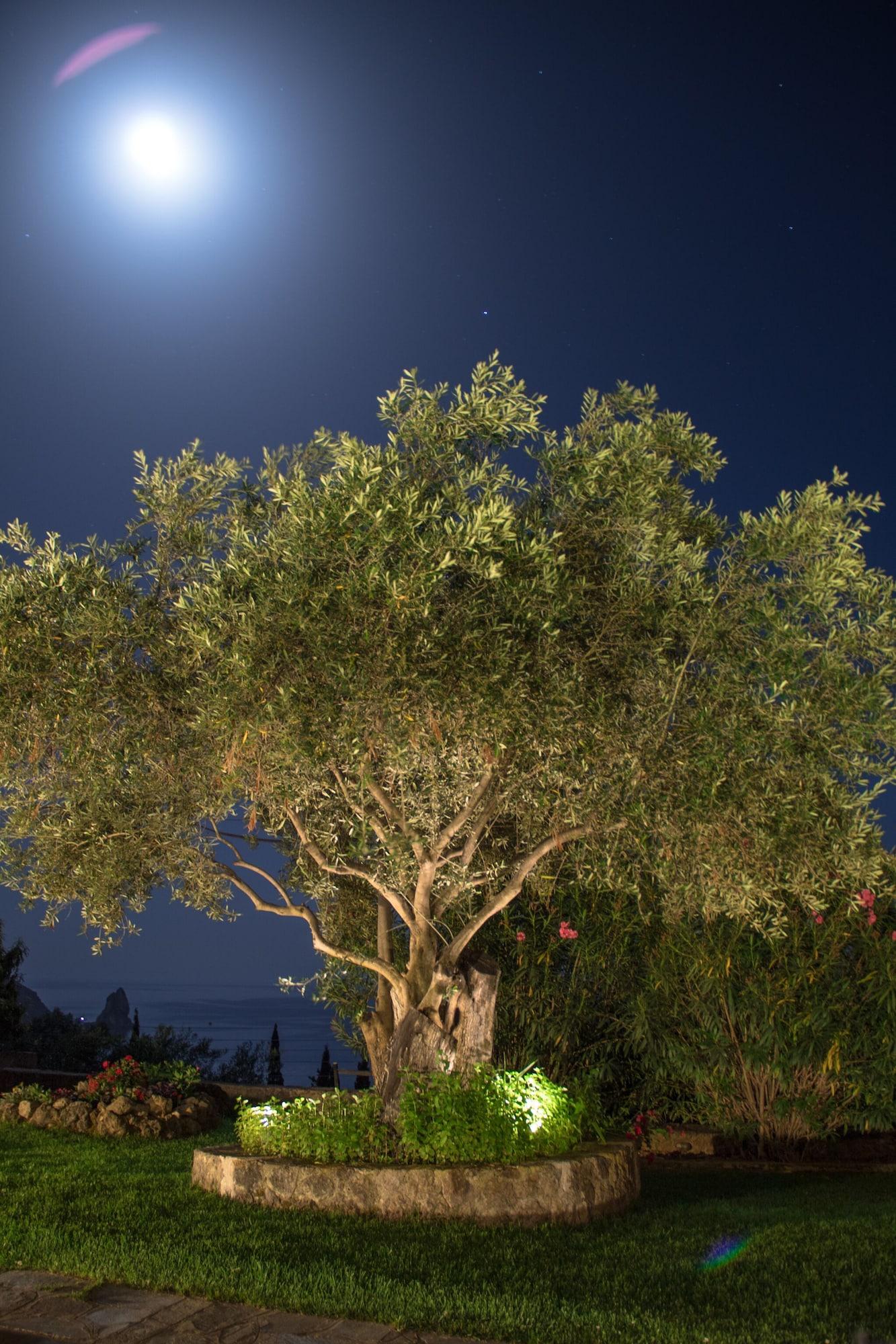 Vista Exterior Pelagos Apartments