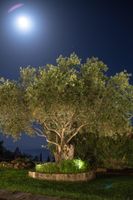 Alojamiento - Pelagos Apartments