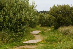 Alojamiento - Surfcrest Resort - 26 beautiful beachfront acres
