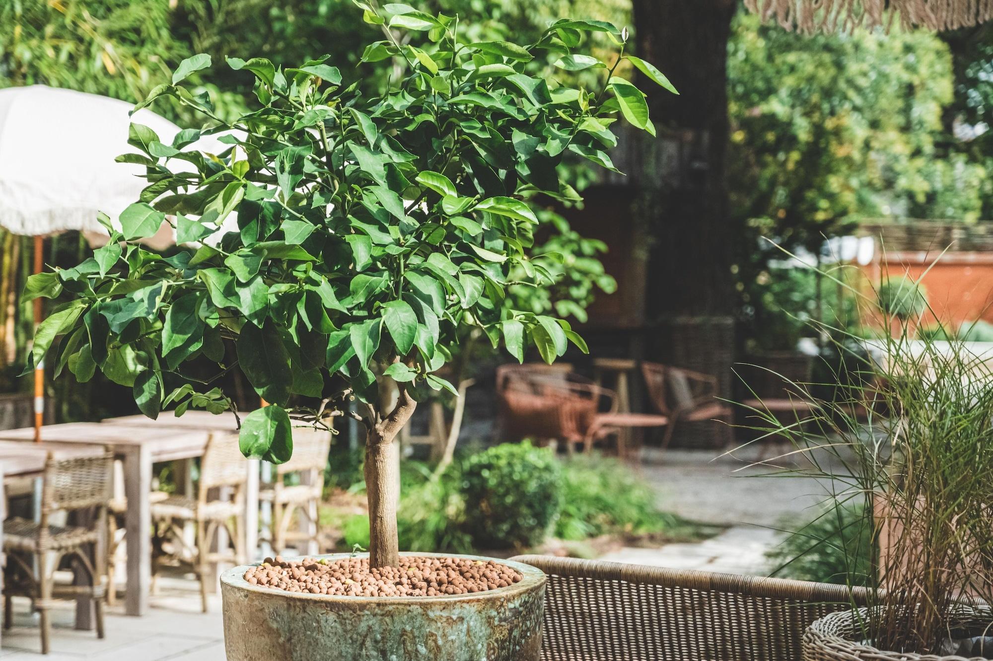 Vista Exterior Hôtel SOCLO