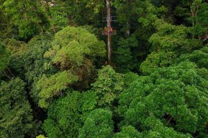 Alojamiento - Recreo Verde Hot Springs & Spa