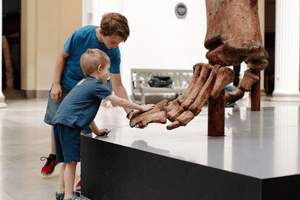 Actividad - Museo de Historia Natural de Campo