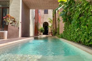 Explora y aventurate en Mérida