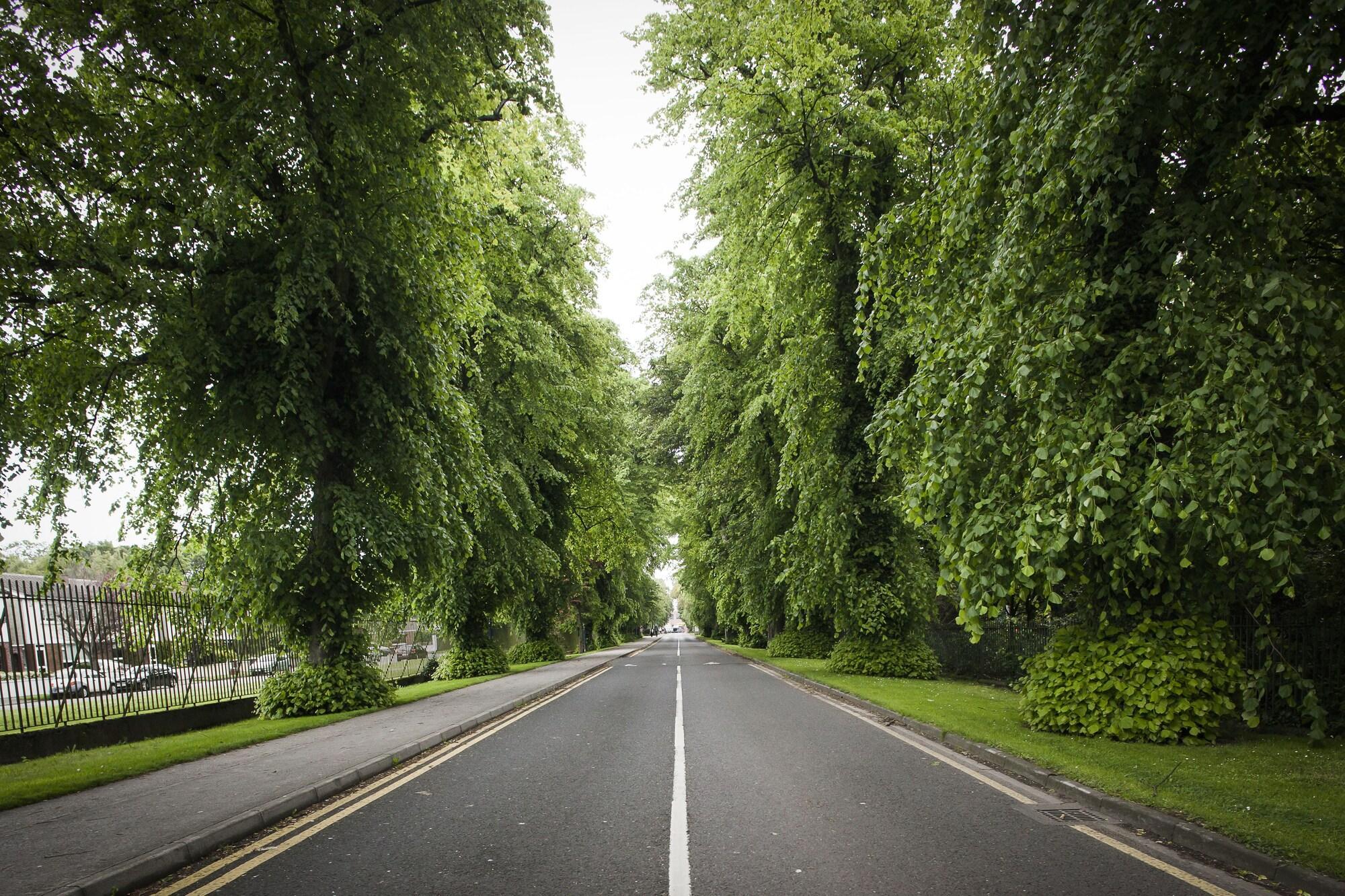 Vista Exterior Dcu Rooms Glasnevin