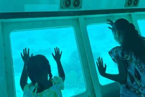 Actividad - SeaWorld Explorer - Semi-Submarine 1-Hour Tour