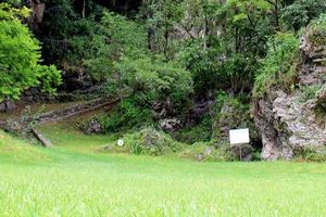 Actividad - Balneario Rancho Viejo Los Azufres y grutas de Tziranda