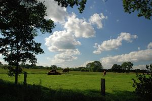 Alquiler Vacacional - Cottage near Lake & Forest with Garden in Gramsbergen