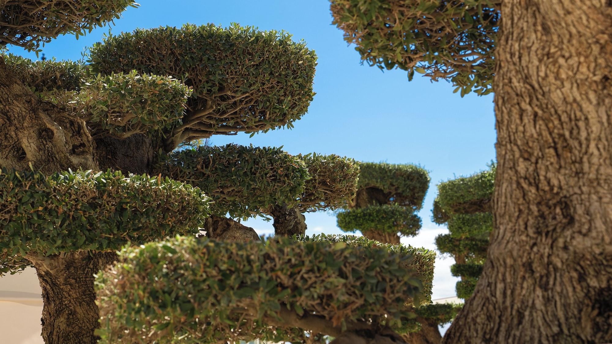 Vista Exterior ZEM Wellness Clinic Altea - 5 Stars Grand Luxury