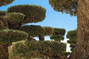 Alojamiento - ZEM Wellness Clinic Altea - 5 Stars Grand Luxury