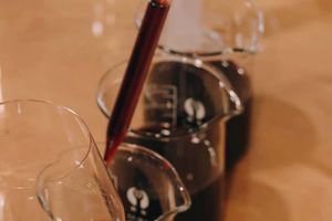 Actividad - Taller de elaboración de vino en el Museo del Vino y el Comercio